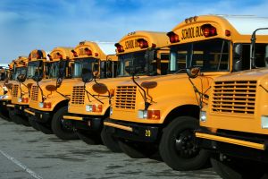 school-bus-123rf-9114866_xl