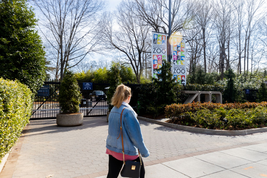 Smithsonian Museums Closed Amid Coronavirus Outbreak In Washington